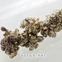 化学元素【锶】
